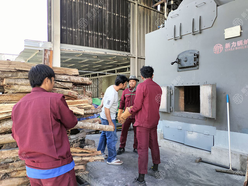 綠色能源助力！新力生物質(zhì)鍋爐DZH4在柬埔寨食品廠點(diǎn)火試運(yùn)行成功！